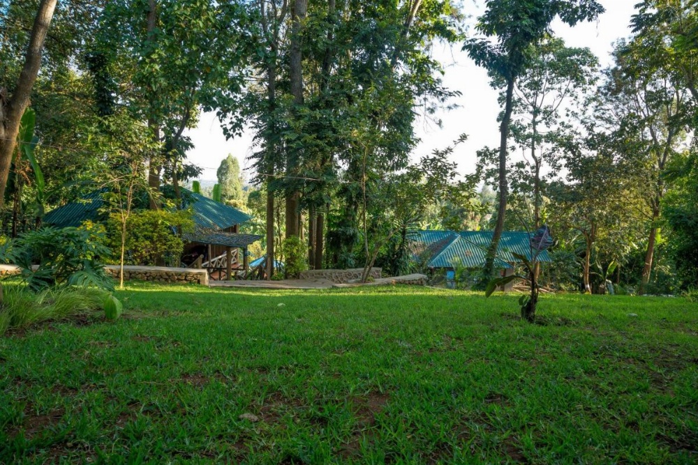 Malkia Trees Lodge Image 17